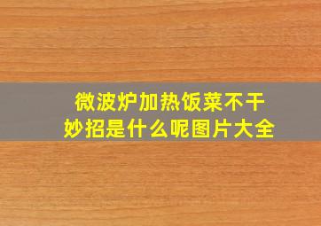 微波炉加热饭菜不干妙招是什么呢图片大全