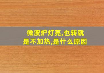 微波炉灯亮,也转就是不加热,是什么原因