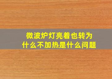 微波炉灯亮着也转为什么不加热是什么问题