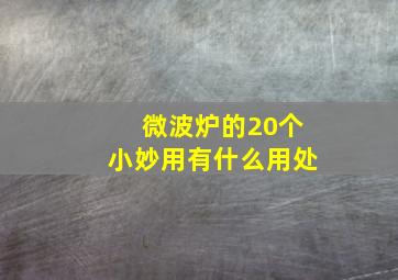 微波炉的20个小妙用有什么用处