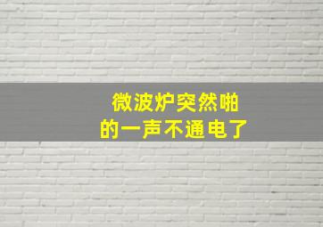 微波炉突然啪的一声不通电了