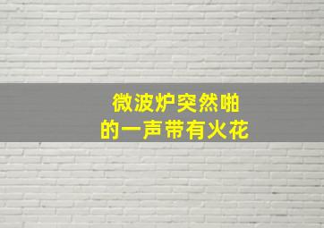 微波炉突然啪的一声带有火花