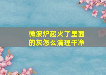 微波炉起火了里面的灰怎么清理干净