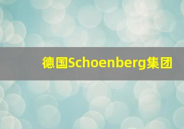 德国Schoenberg集团