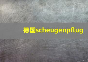 德国scheugenpflug