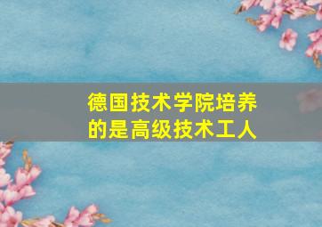 德国技术学院培养的是高级技术工人