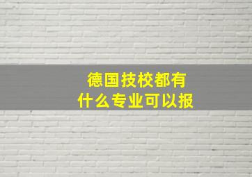 德国技校都有什么专业可以报