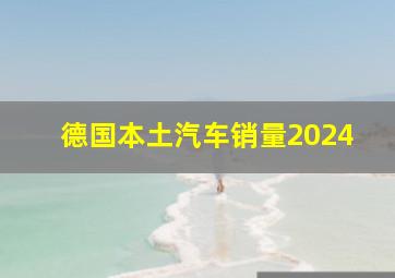 德国本土汽车销量2024