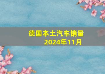 德国本土汽车销量2024年11月