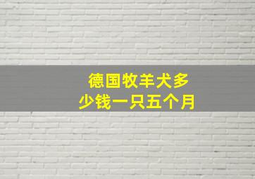 德国牧羊犬多少钱一只五个月