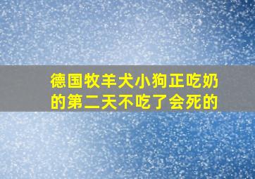 德国牧羊犬小狗正吃奶的第二天不吃了会死的