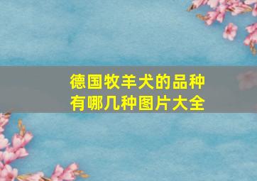 德国牧羊犬的品种有哪几种图片大全