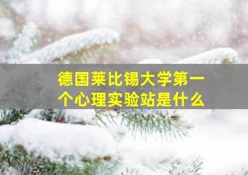 德国莱比锡大学第一个心理实验站是什么