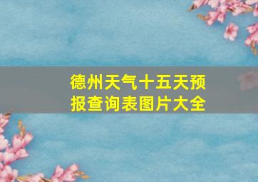 德州天气十五天预报查询表图片大全