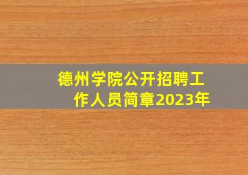 德州学院公开招聘工作人员简章2023年