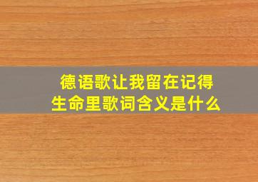 德语歌让我留在记得生命里歌词含义是什么