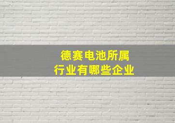 德赛电池所属行业有哪些企业