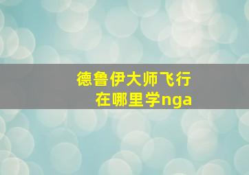 德鲁伊大师飞行在哪里学nga