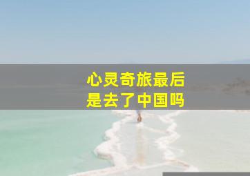 心灵奇旅最后是去了中国吗