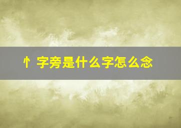 忄字旁是什么字怎么念