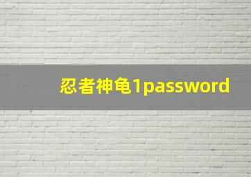 忍者神龟1password