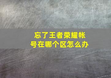 忘了王者荣耀帐号在哪个区怎么办