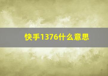 快手1376什么意思