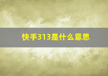 快手313是什么意思