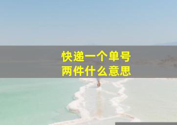 快递一个单号两件什么意思