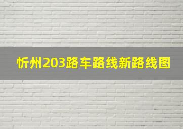 忻州203路车路线新路线图