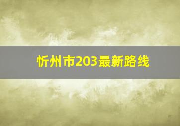 忻州市203最新路线