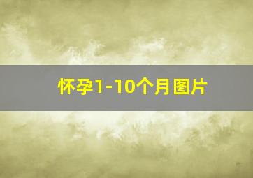 怀孕1-10个月图片