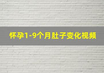 怀孕1-9个月肚子变化视频