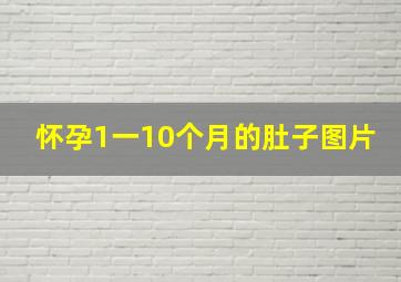 怀孕1一10个月的肚子图片