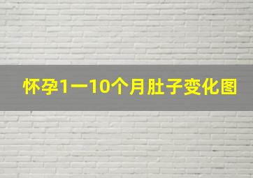 怀孕1一10个月肚子变化图