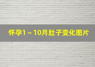 怀孕1～10月肚子变化图片