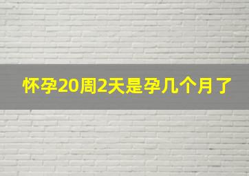 怀孕20周2天是孕几个月了