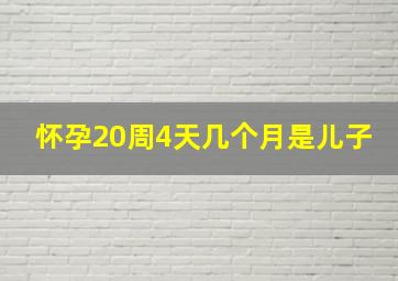 怀孕20周4天几个月是儿子