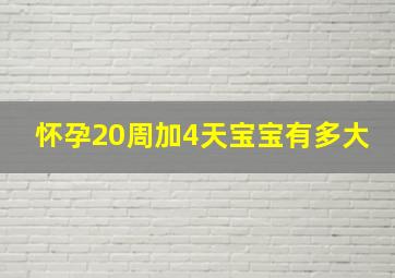 怀孕20周加4天宝宝有多大