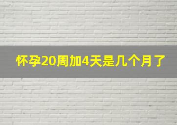 怀孕20周加4天是几个月了