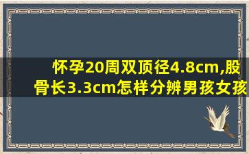 怀孕20周双顶径4.8cm,股骨长3.3cm怎样分辨男孩女孩