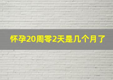 怀孕20周零2天是几个月了