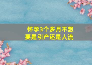 怀孕3个多月不想要是引产还是人流