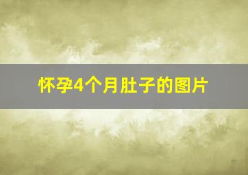 怀孕4个月肚子的图片