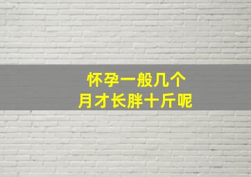 怀孕一般几个月才长胖十斤呢