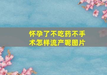 怀孕了不吃药不手术怎样流产呢图片