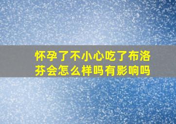 怀孕了不小心吃了布洛芬会怎么样吗有影响吗