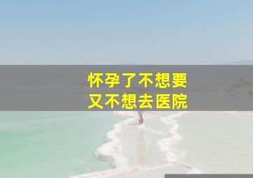 怀孕了不想要又不想去医院