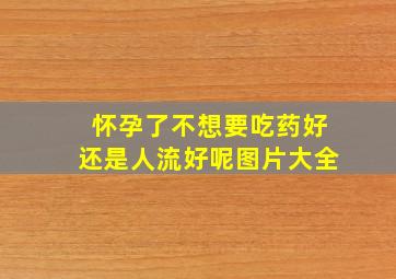 怀孕了不想要吃药好还是人流好呢图片大全