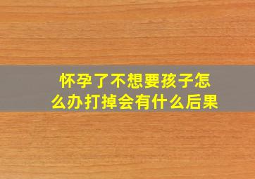 怀孕了不想要孩子怎么办打掉会有什么后果